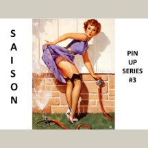 Saison by gbeam