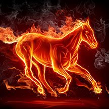 Flamming Horse Lager